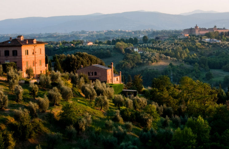 Excursie naar Siena en San Gimignano